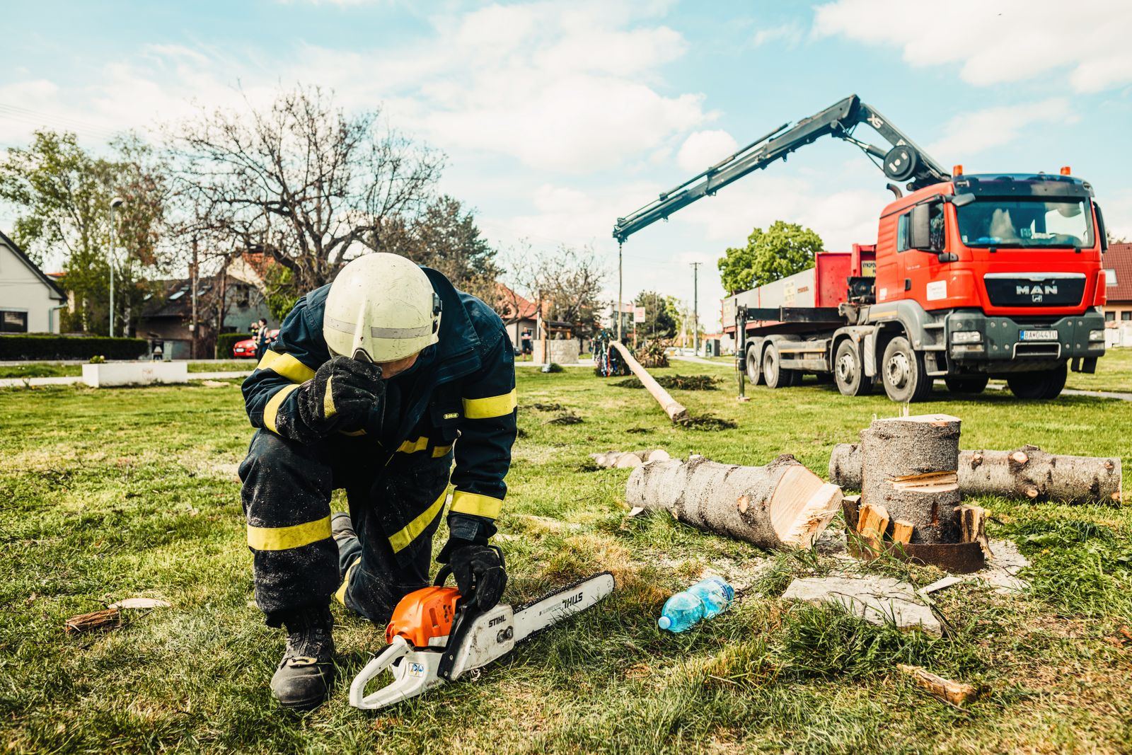 Abattage dangereux et démontage d'arbres