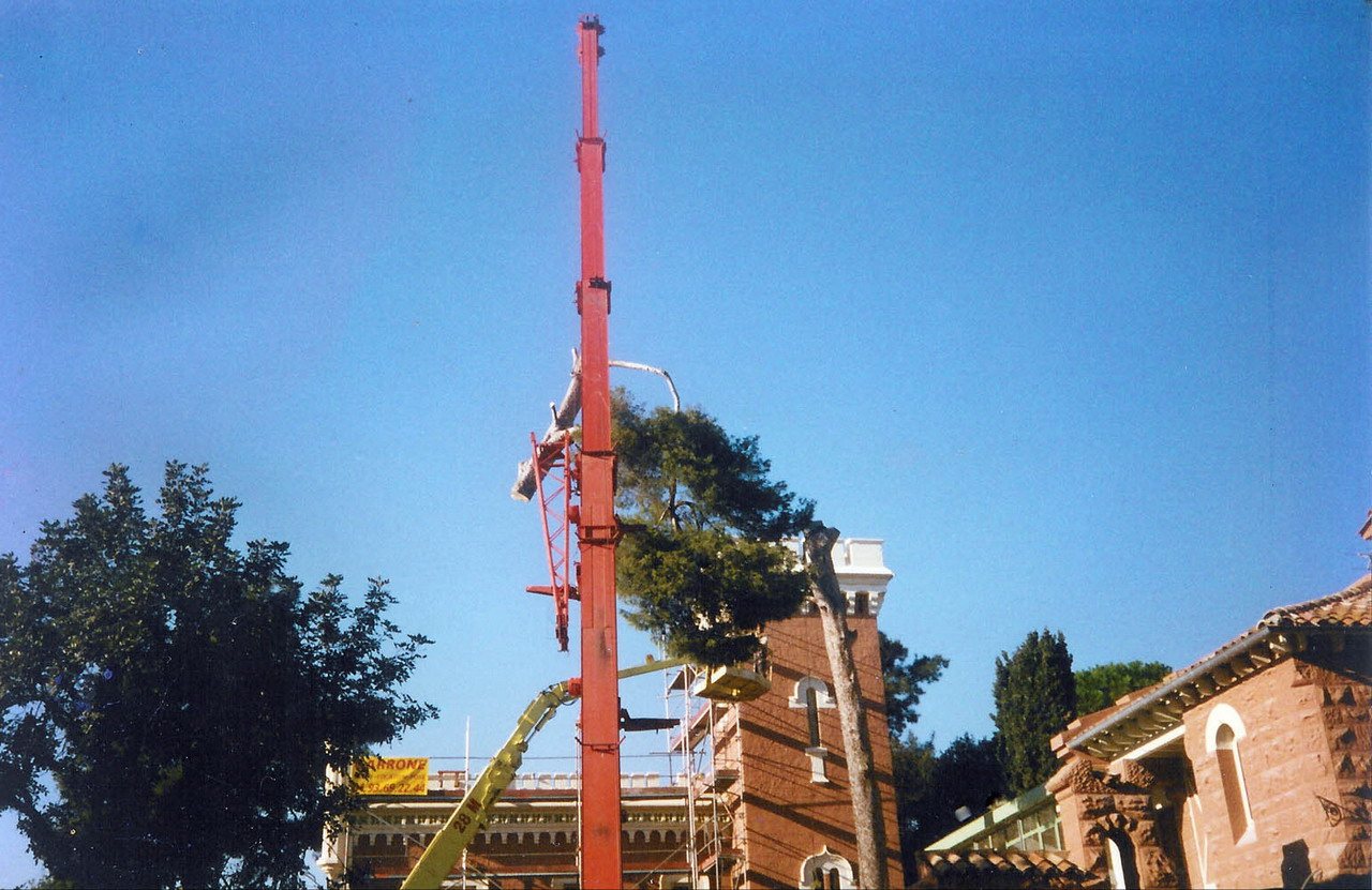 Grue de levage sur un abattage